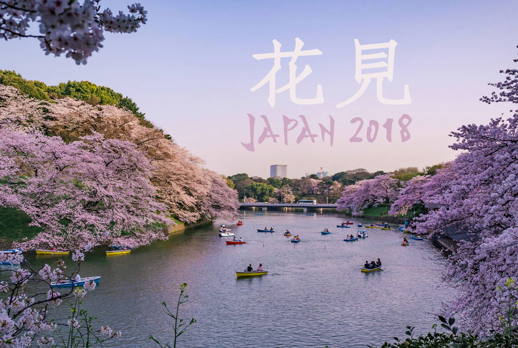 花見 – Japan 2018